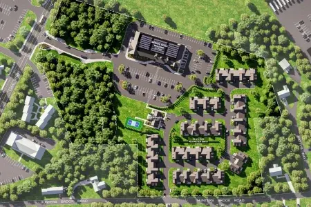 Canal-Street-Crossing-1-qt8fa1n0fw31bsj9qp5fvngc35zbbpn8i1a48cv0hk